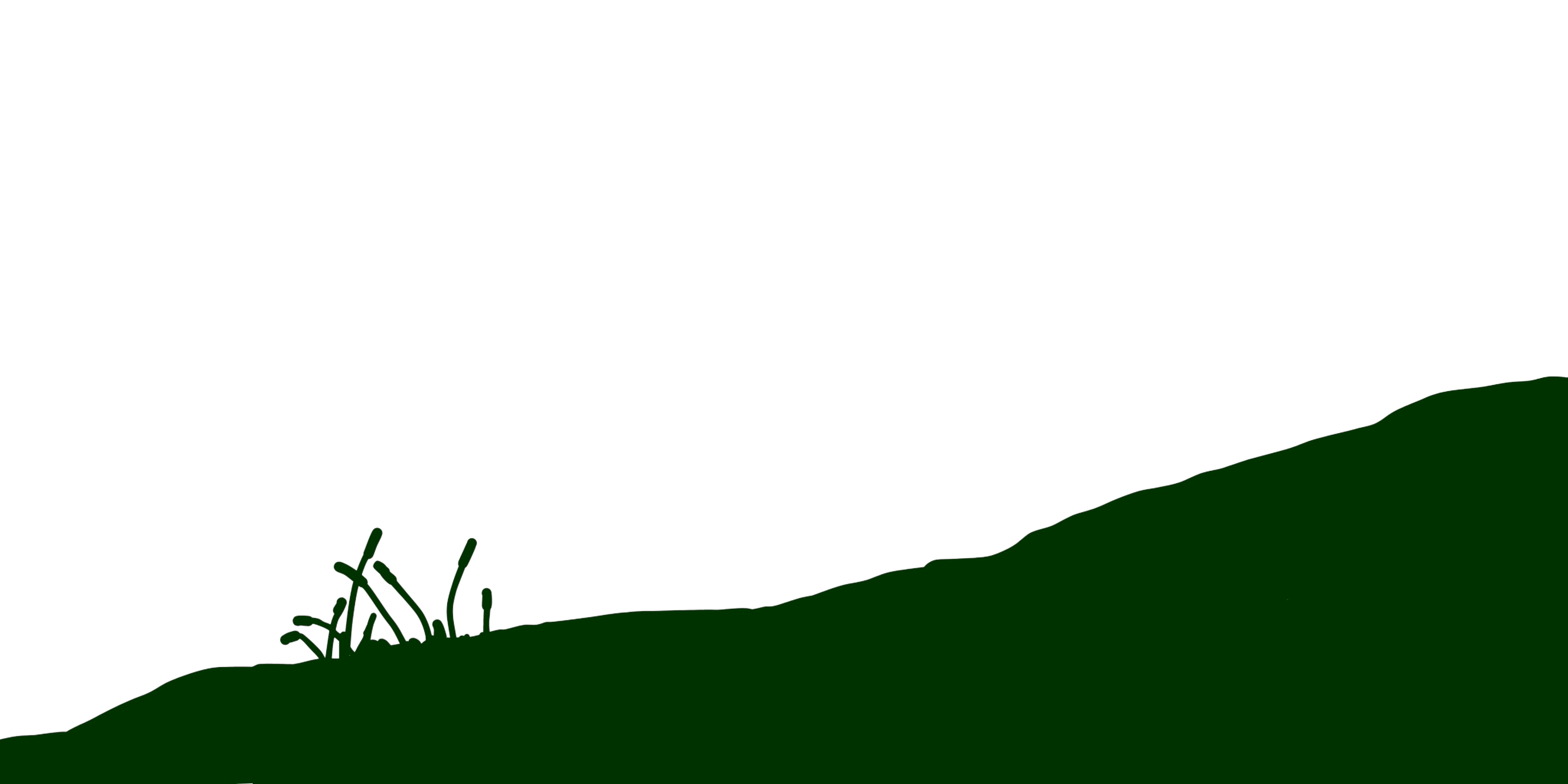 The grass growing on the slope is lush, spotted with beautiful flowers
